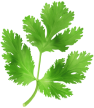 slider img-05